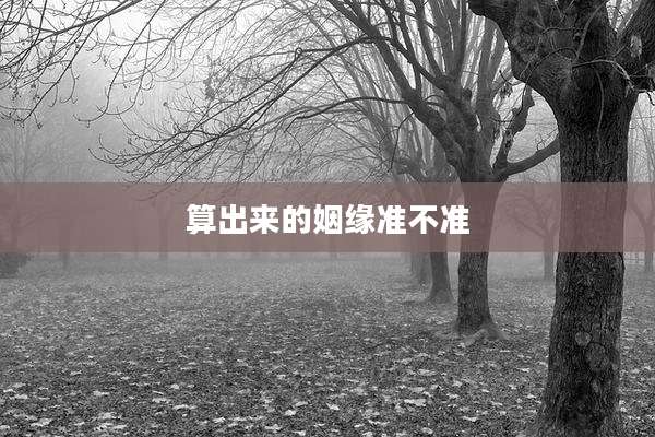 算出来的姻缘准不准