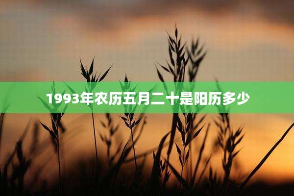 1993年农历五月二十是阳历多少