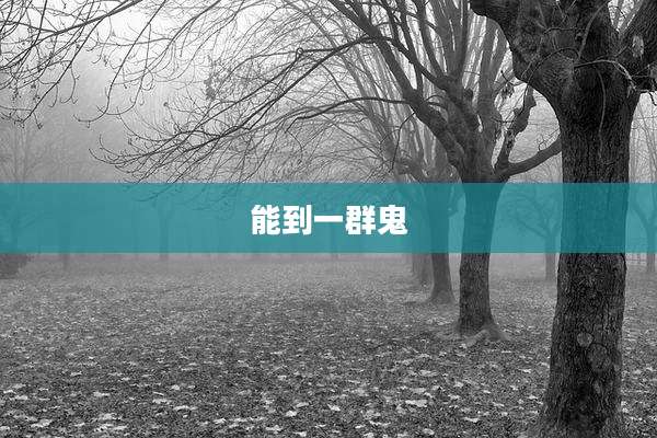 能到一群鬼