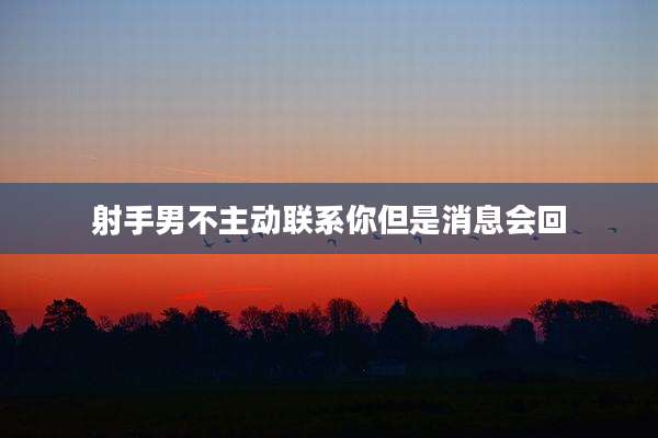 射手男不主动联系你但是消息会回