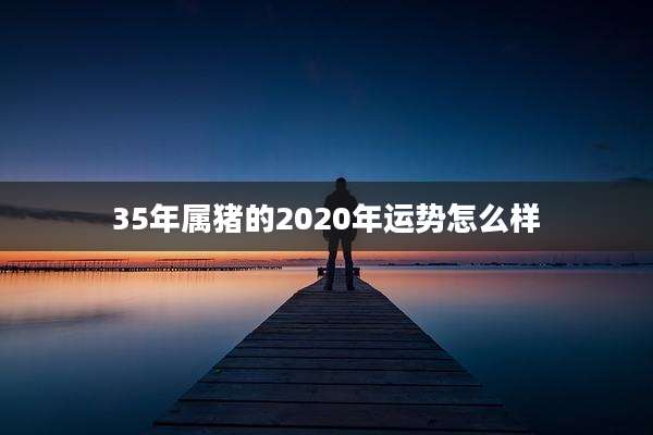 35年属猪的2020年运势怎么样
