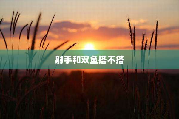射手和双鱼搭不搭