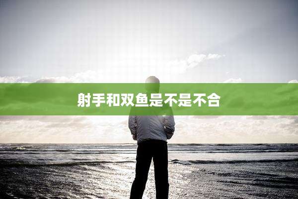射手和双鱼是不是不合