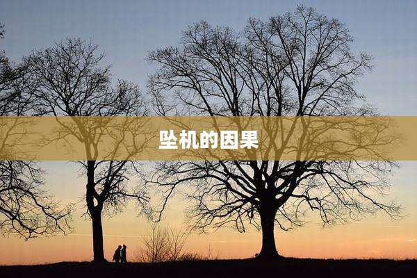 坠机的因果