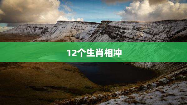12个生肖相冲
