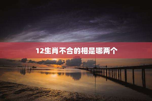 12生肖不合的相是哪两个
