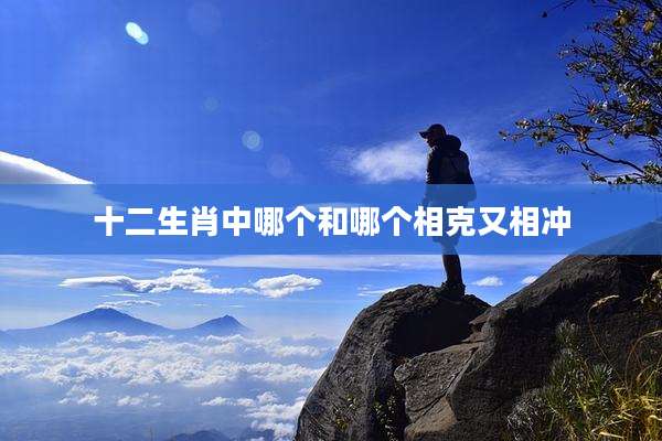 十二生肖中哪个和哪个相克又相冲