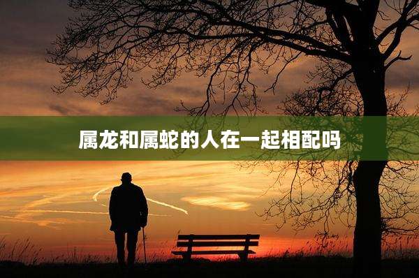 属龙和属蛇的人在一起相配吗