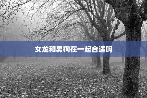 女龙和男狗在一起合适吗