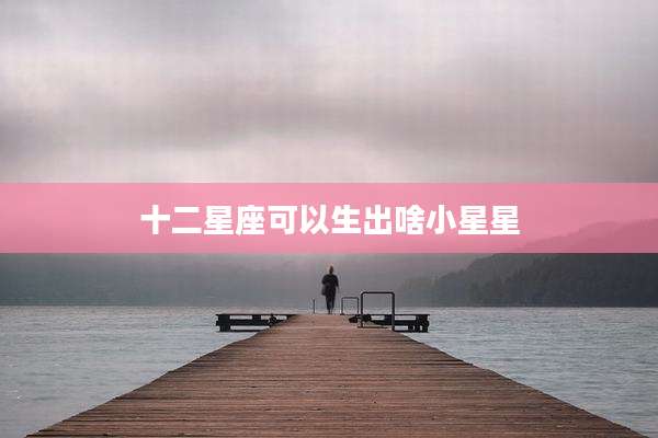 十二星座可以生出啥小星星