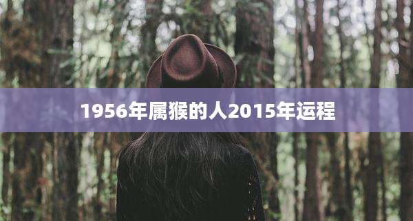 1956年属猴的人2015年运程
