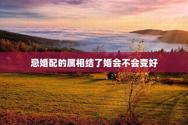 忌婚配的属相结了婚会不会变好