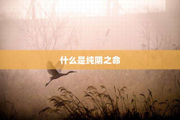 什么是纯阴之命