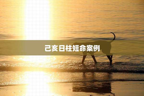 己亥日柱短命案例