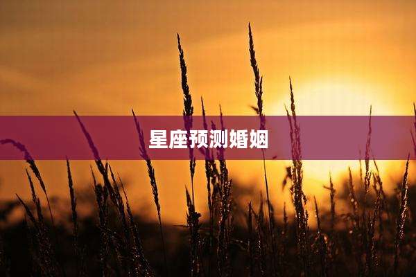 星座预测婚姻