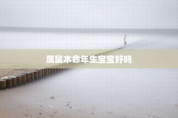 属鼠本命年生宝宝好吗