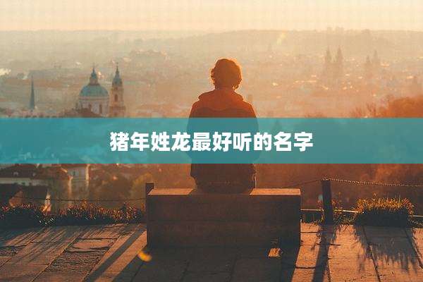 猪年姓龙最好听的名字