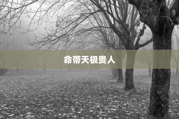 命带天极贵人