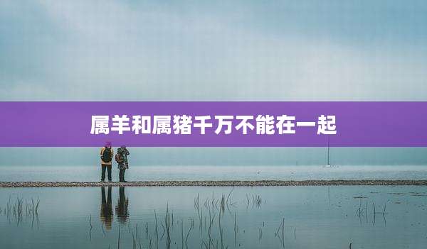 属羊和属猪千万不能在一起
