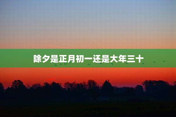 除夕是正月初一还是大年三十