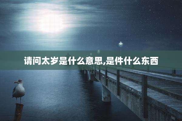 请问太岁是什么意思,是件什么东西
