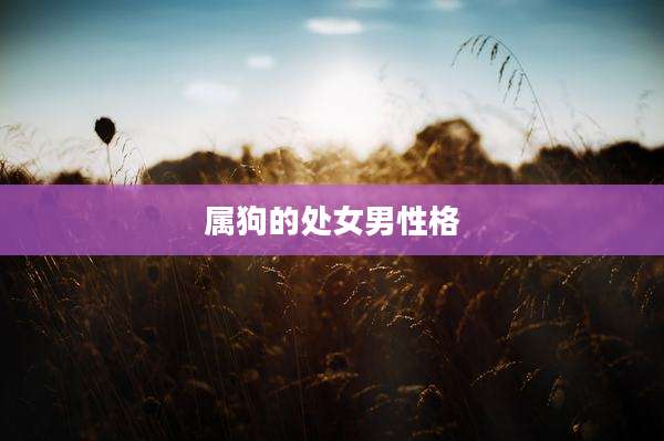 属狗的处女男性格