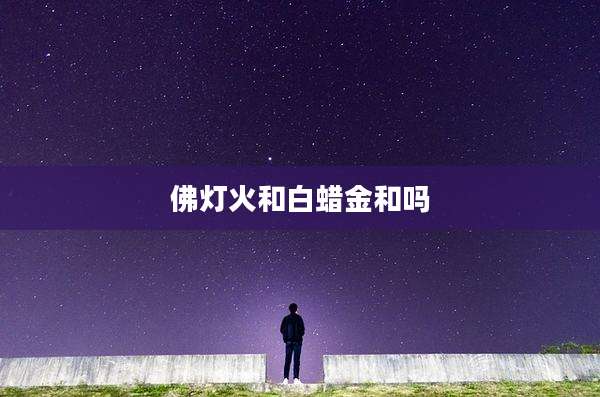 佛灯火和白蜡金和吗