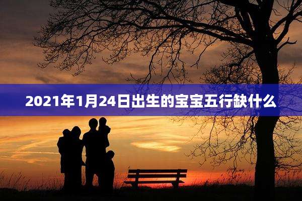 2021年1月24日出生的宝宝五行缺什么