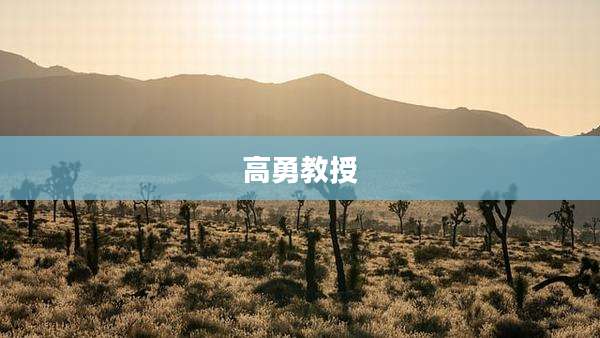 高勇教授