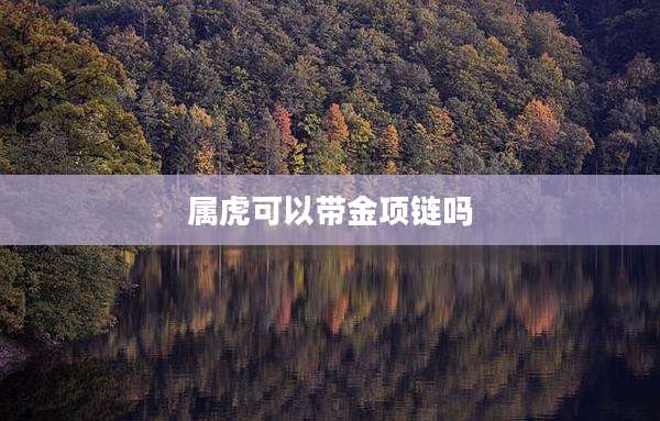 属虎可以带金项链吗