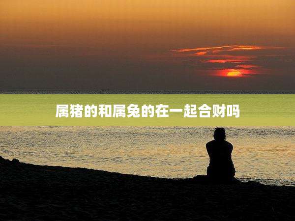属猪的和属兔的在一起合财吗