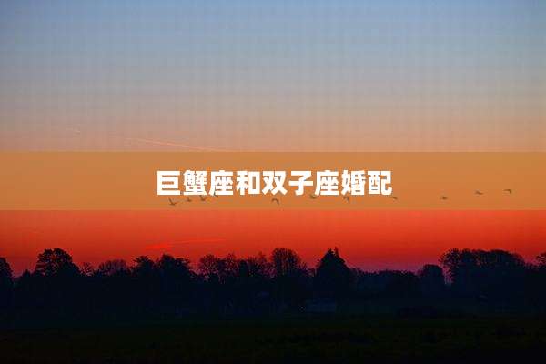 巨蟹座和双子座婚配