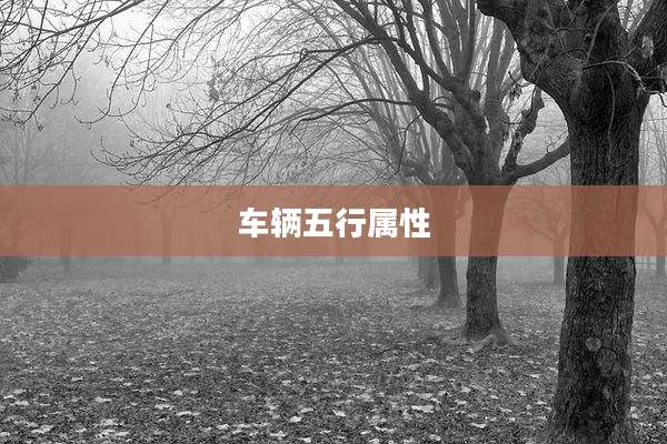 车辆五行属性