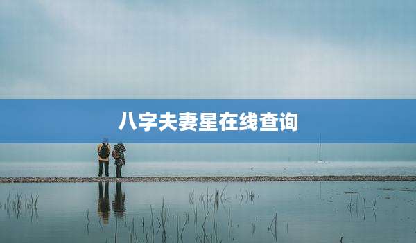 八字夫妻星在线查询