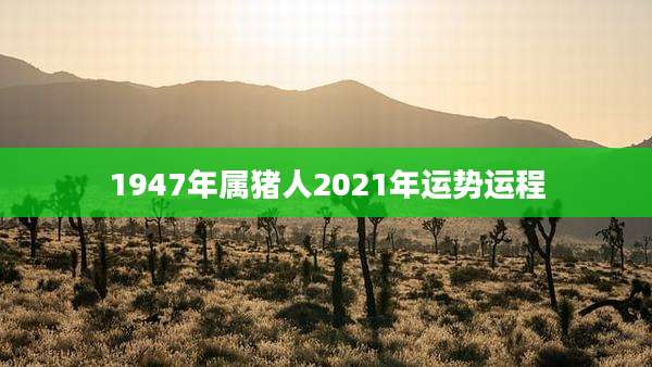 1947年属猪人2021年运势运程