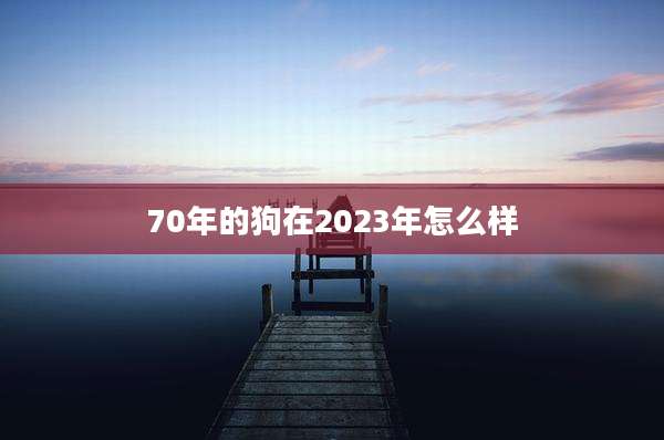 70年的狗在2023年怎么样