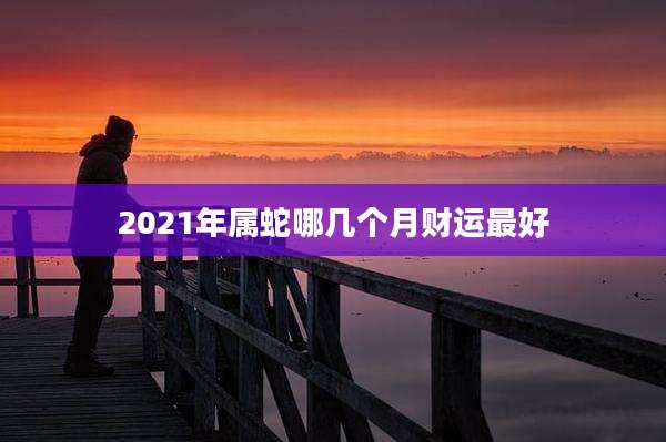 2021年属蛇哪几个月财运最好