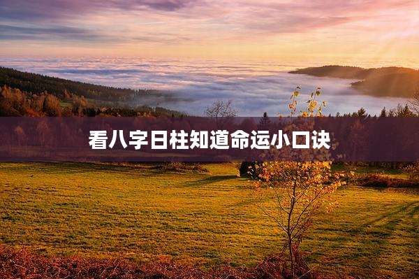 看八字日柱知道命运小口诀