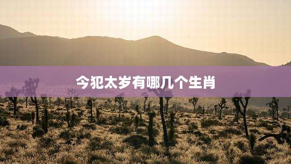 今犯太岁有哪几个生肖