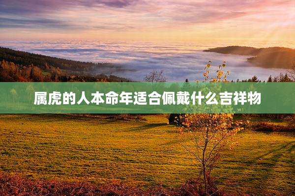 属虎的人本命年适合佩戴什么吉祥物