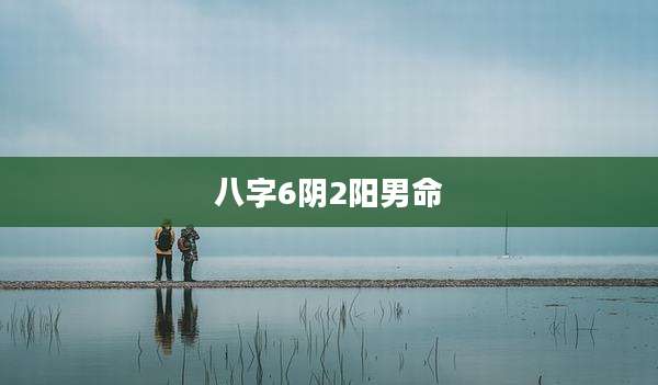 八字6阴2阳男命