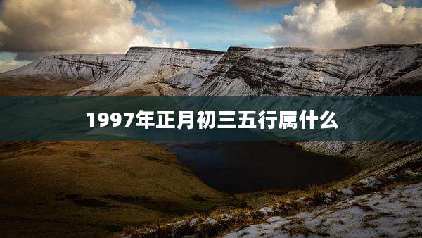1997年正月初三五行属什么
