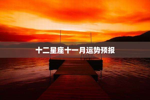 十二星座十一月运势预报