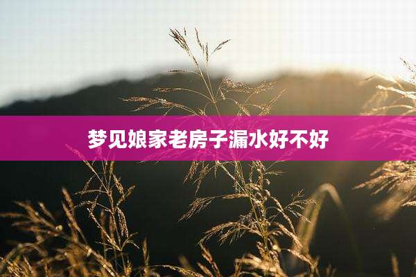 梦见娘家老房子漏水好不好