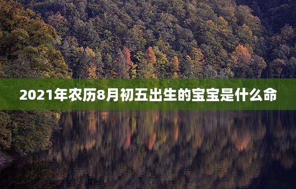 2021年农历8月初五出生的宝宝是什么命
