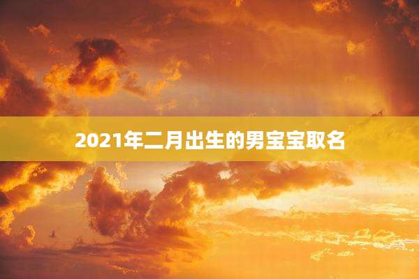 2021年二月出生的男宝宝取名