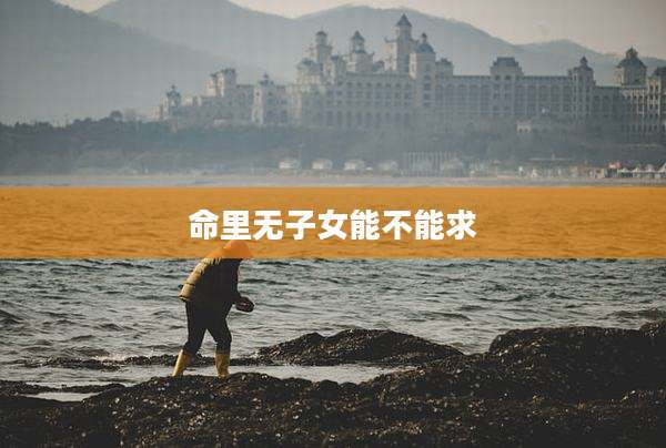 命里无子女能不能求