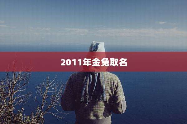 2011年金兔取名