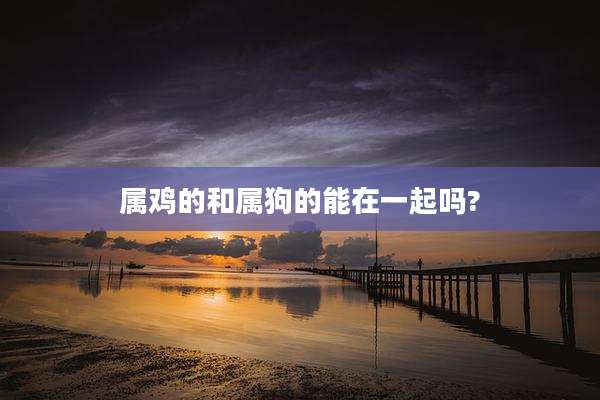 属鸡的和属狗的能在一起吗?