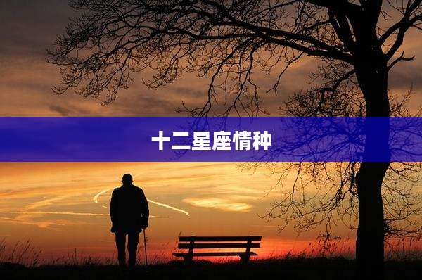 十二星座情种